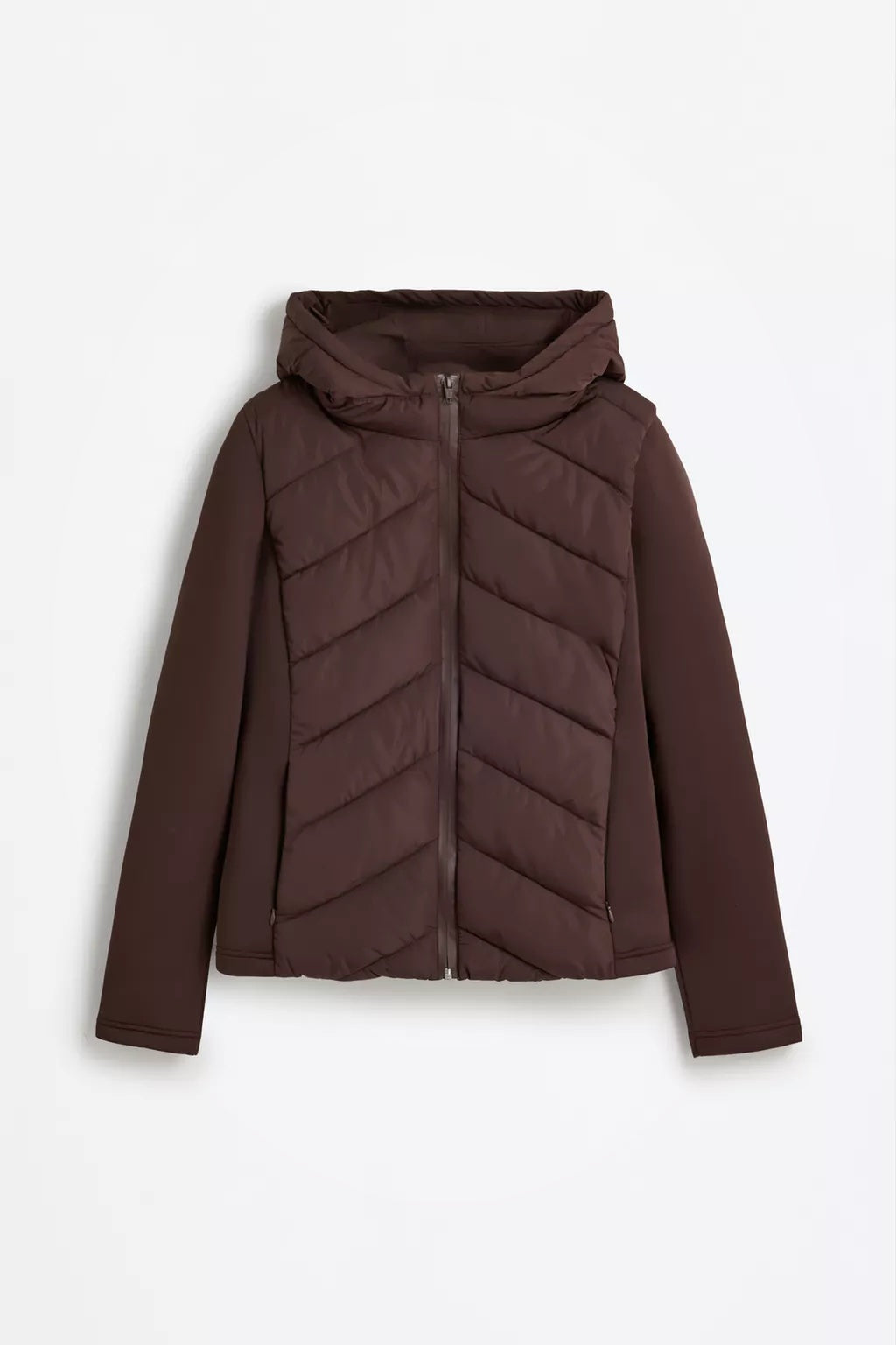 Chaqueta corta con capucha para mujer – marrón oscuro, cálida y moderna – Modenique